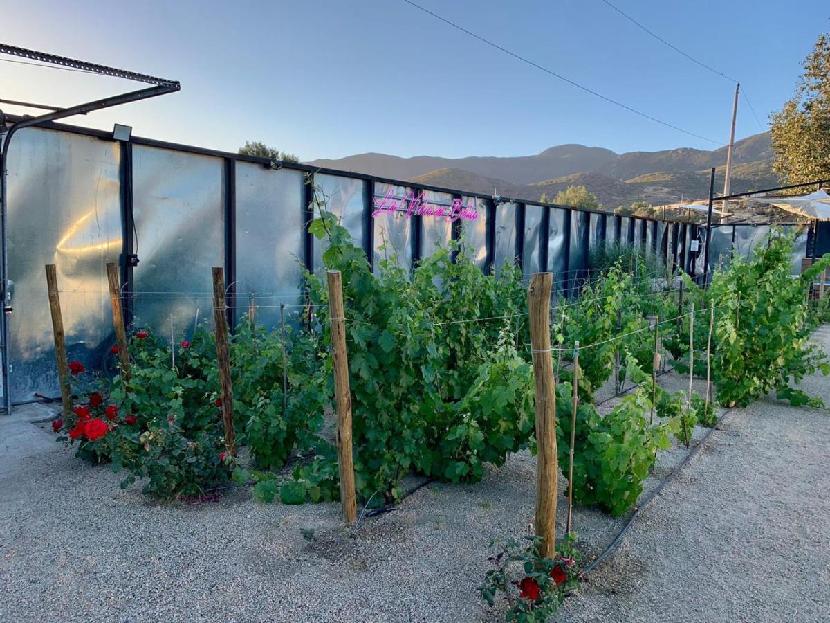La Finca De Vane Valle de Guadalupe Luaran gambar