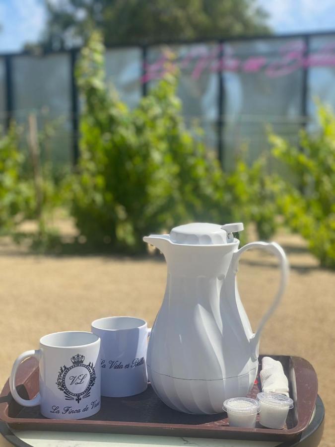 La Finca De Vane Valle de Guadalupe Luaran gambar